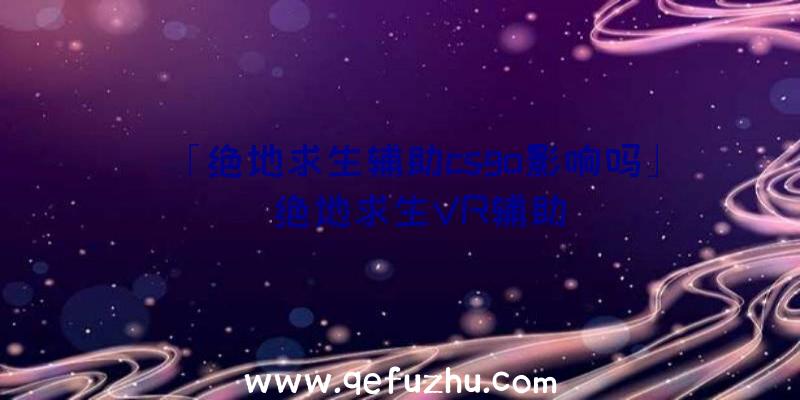 「绝地求生辅助csgo影响吗」|绝地求生VR辅助